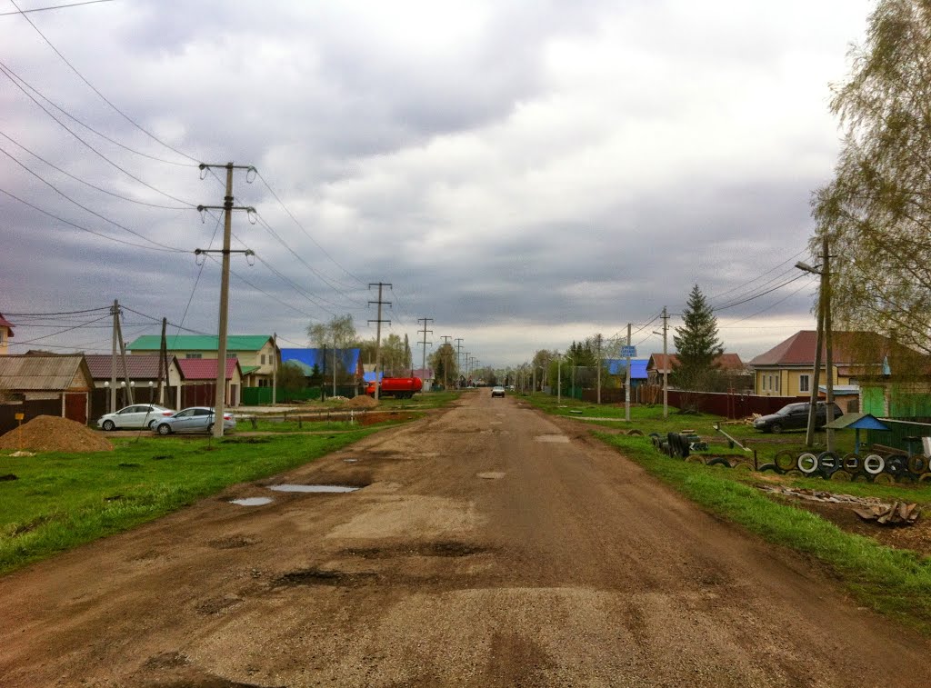 Село Старые Камышлы на сайте МФЦС-Уфа